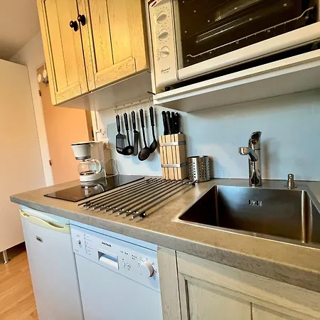 Avec Mezzanine Au Centre-village, 100m De Navette Ski, 4 Pers., Equipe Et Confortable - Fr-1-624-58 Apartment